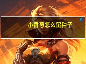 小香葱怎么留种子