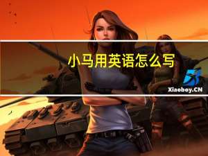 小马用英语怎么写