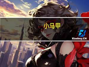 小马甲（小马甲）