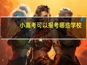 小高考可以报考哪些学校