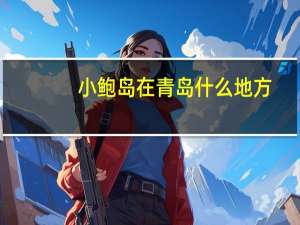 小鲍岛在青岛什么地方