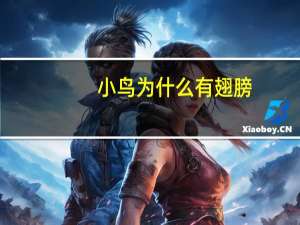 小鸟为什么有翅膀