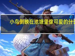 小鸟倒映在池塘里像可爱的什么