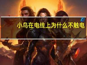 小鸟在电线上为什么不触电