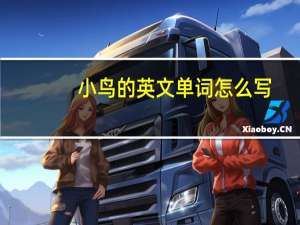 小鸟的英文单词怎么写