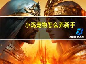 小鸡宠物怎么养新手