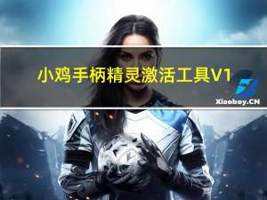 小鸡手柄精灵激活工具 V1.0.6 官方版（小鸡手柄精灵激活工具 V1.0.6 官方版功能简介）