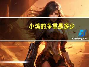 小鸡的净重是多少（小鸡的净重多少）