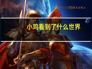 小鸡看到了什么世界