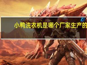 小鸭洗衣机是哪个厂家生产的