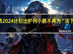 小鹏2024计划出炉 何小鹏不再为“活下去”发愁
