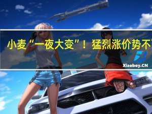 小麦“一夜大变”！猛烈涨价势不可挡