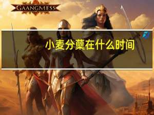 小麦分蘖在什么时间