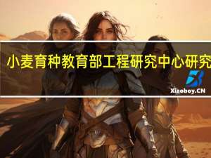 小麦育种教育部工程研究中心研究中心-成果