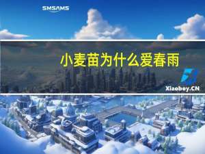 小麦苗为什么爱春雨
