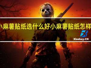 小麻薯贴纸选什么好 小麻薯贴纸怎样买便宜
