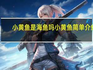 小黄鱼是海鱼吗 小黄鱼简单介绍