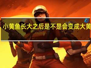 小黄鱼长大之后是不是会变成大黄鱼呢（小黄鱼长大之后是不是会变成大黄鱼）