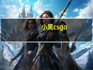 小黑csgo（小黑c2）