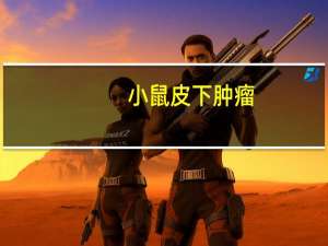 小鼠皮下肿瘤