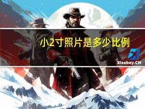 小2寸照片是多少比例（小2寸照片是多少厘米）
