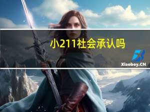 小211社会承认吗