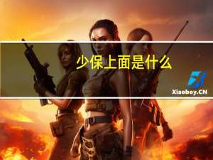 少保上面是什么（少保简介）