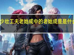 少壮工夫老始成中的老始成是是什么意思