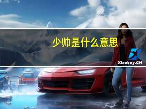少帅是什么意思