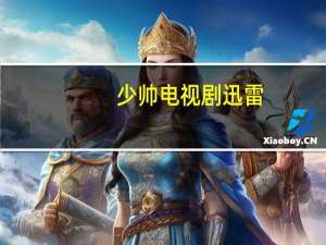 少帅 电视剧迅雷（少帅电视剧全集下载迅雷）