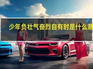 少年负壮气奋烈自有时是什么意思