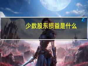 少数股东损益是什么