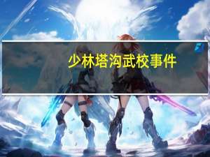 少林塔沟武校事件（少林塔沟武校很黑暗）