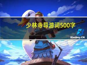少林寺导游词500字（少林寺导游词）