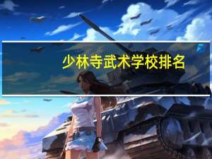 少林寺武术学校排名