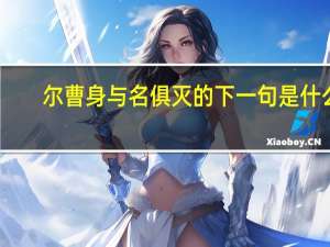 尔曹身与名俱灭的下一句是什么