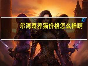 尔湾寄养猫价格怎么样啊