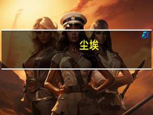 尘埃。代表什么意思