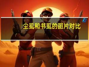 尘虱和书虱的图片对比（尘虱）