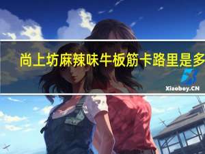 尚上坊 麻辣味牛板筋卡路里是多少