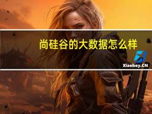 尚硅谷的大数据怎么样
