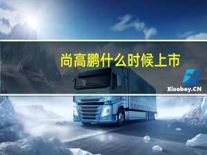 尚高鹏什么时候上市？