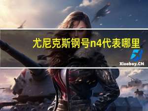 尤尼克斯钢号n4代表哪里