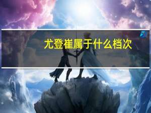尤登崔属于什么档次