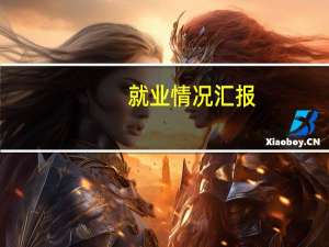 就业情况汇报（就业情况填什么）