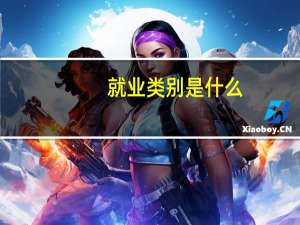 就业类别是什么