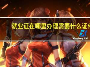 就业证在哪里办理需要什么证件
