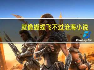 就像蝴蝶飞不过沧海小说（就像蝴蝶飞不过沧海）