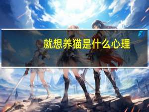 就想养猫是什么心理