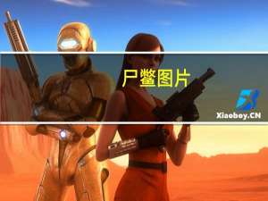 尸鳖图片（尸蹩）